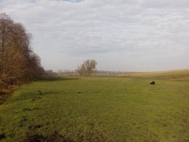 Сальниця з panoramio.com - Сальница