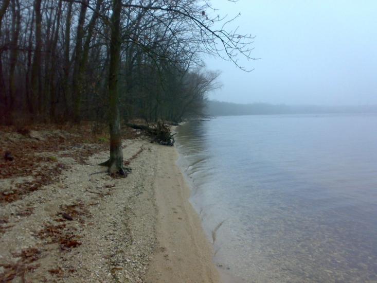 Зелений Гай з panoramio.com - Зеленый Гай