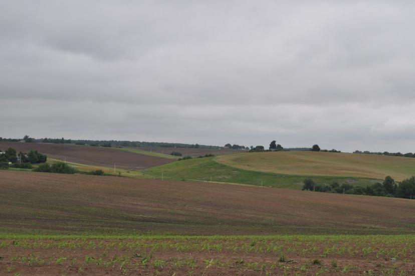 Заріцьк з panoramio.com - Zaritsk