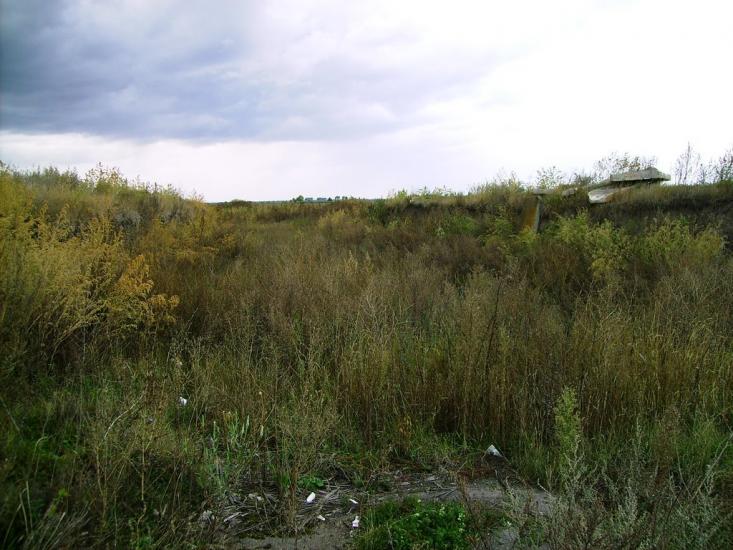 Велика Кошелівка з panoramio.com - Велика Кошелівка