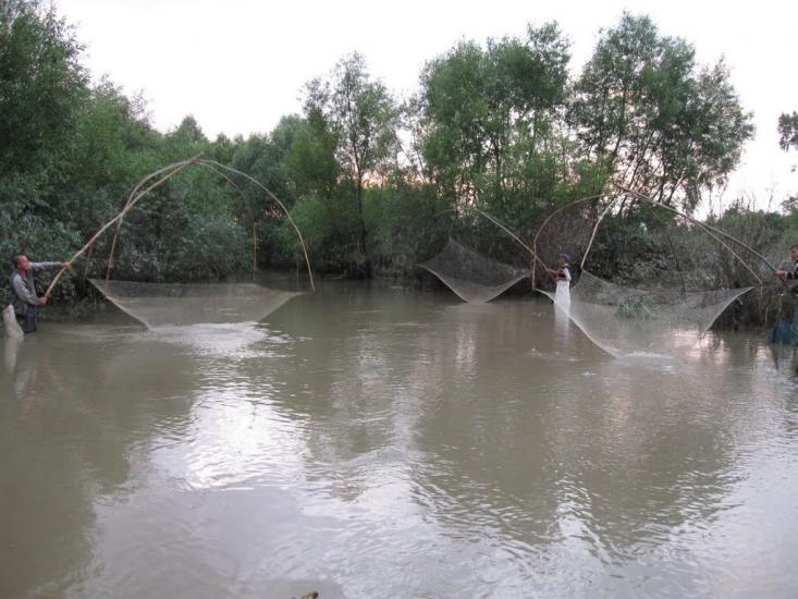 Тарасівці з panoramio.com - Тарасівці