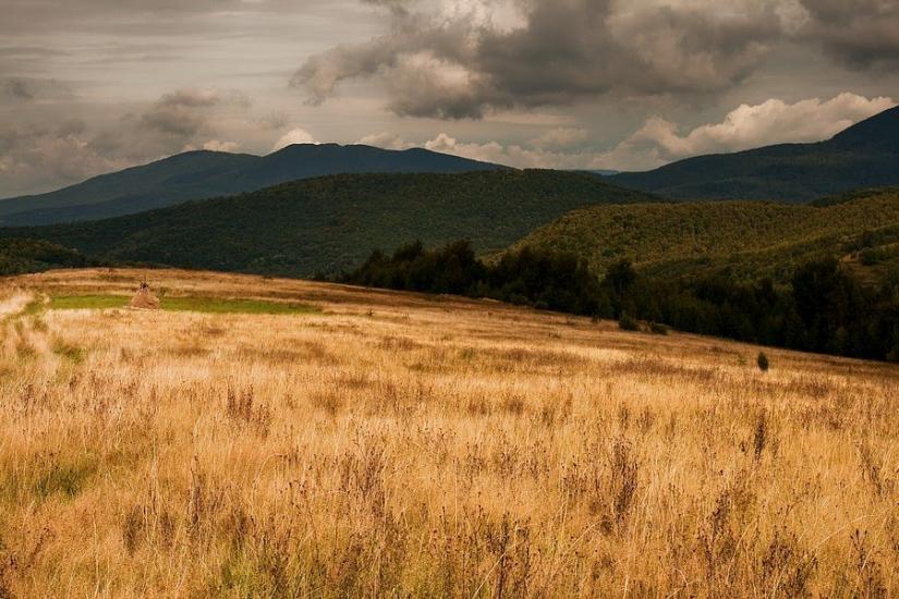 Буківцьово з panoramio.com - Буковцево