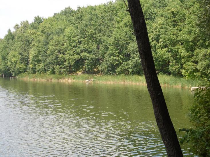 Ступаківка з panoramio.com - Ступаківка
