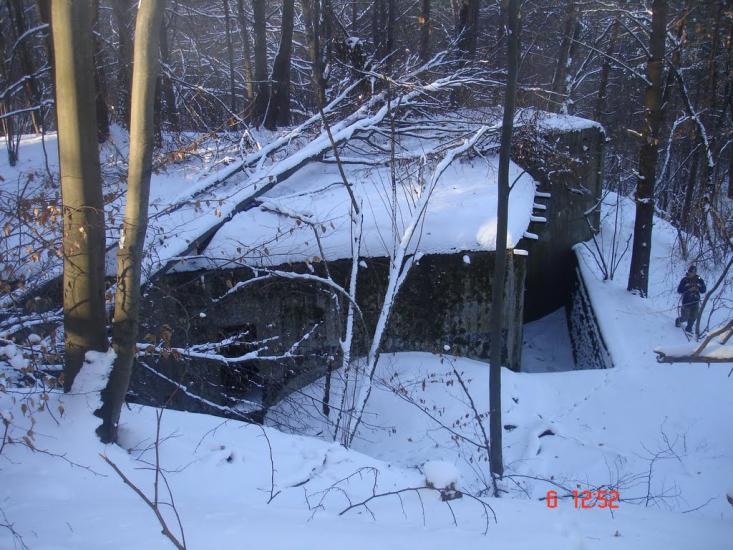 Дев'ятир з panoramio.com - Девятир