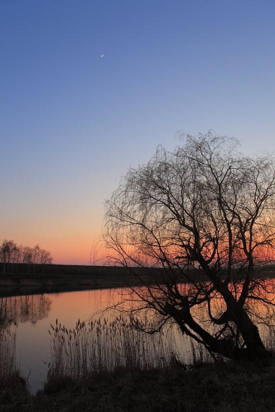 Дементіївка з panoramio.com - Dementiyivka