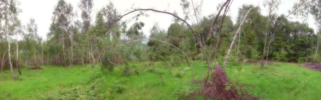 Буківцьово з panoramio.com - Буковцево