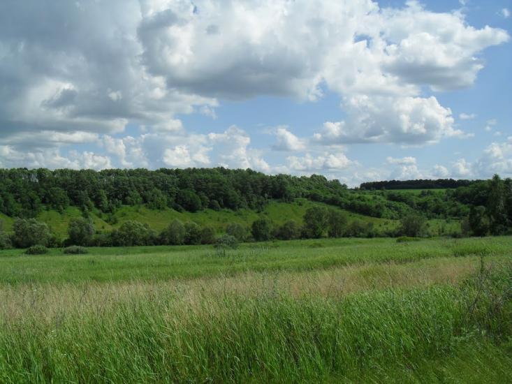 Печини з panoramio.com - Pechyny