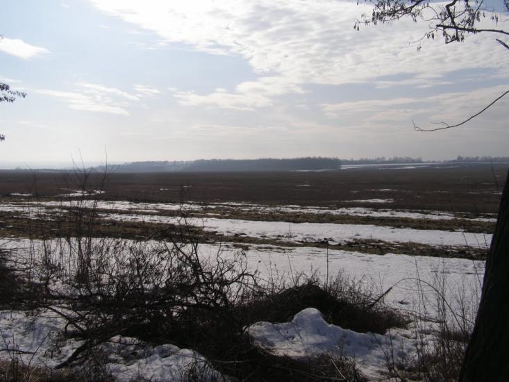 Росоша з panoramio.com - Росоша