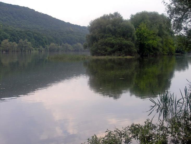 Бронниця з panoramio.com - Бронниця