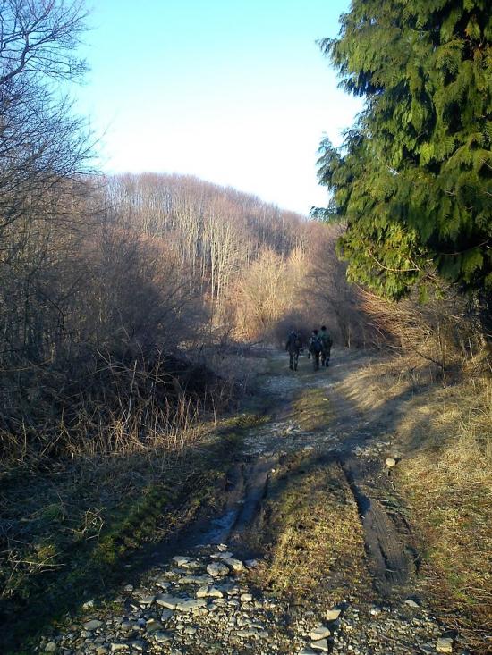 Добромиль з panoramio.com - Dobromyl