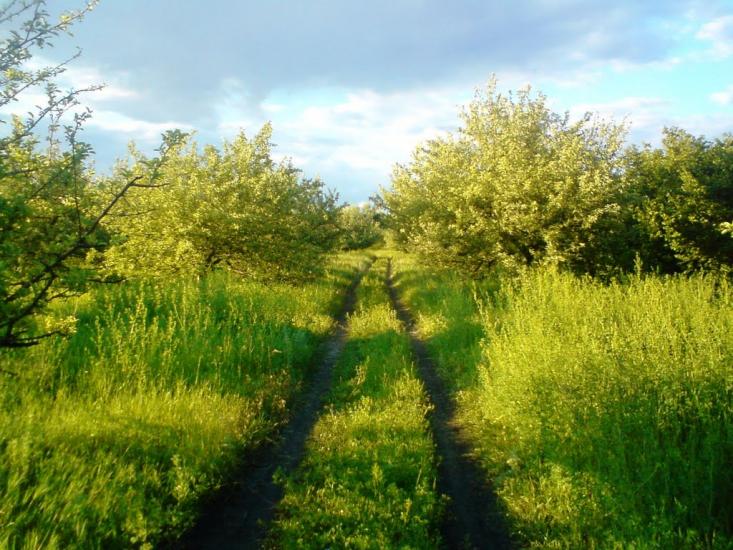 Панютине з panoramio.com - Панютино