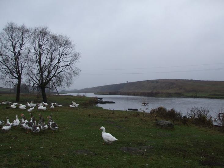 Клубівка з panoramio.com - Клубівка