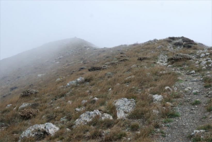 Міжріччя з panoramio.com - Міжріччя
