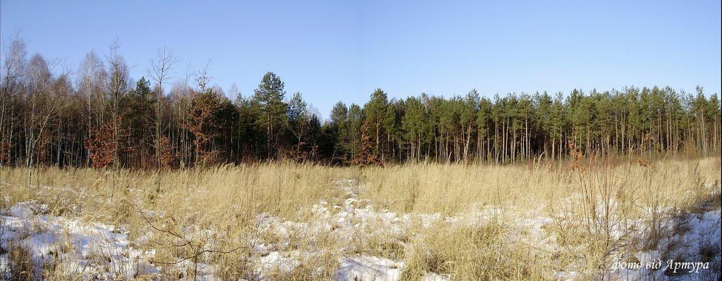 Писарева Воля з panoramio.com - Писарева Воля