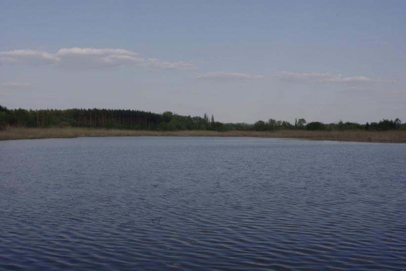 Вознесенське з panoramio.com - Вознесенское