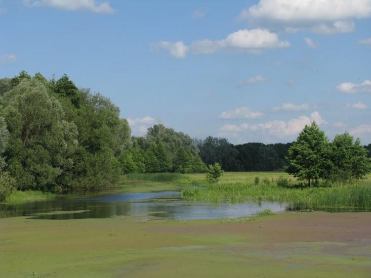 Лютенські Будища з panoramio.com - Лютенські Будища