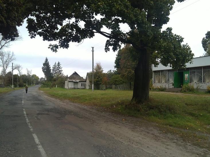 Поліське з panoramio.com - Поліське