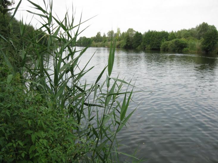 Вільхуватка з panoramio.com - Вільхуватка