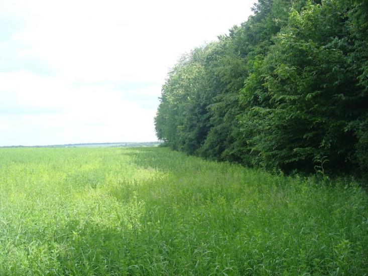 Мала Стружка з panoramio.com - Мала Стружка