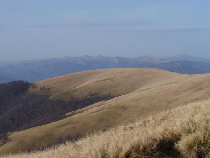 Красна з panoramio.com - Красна