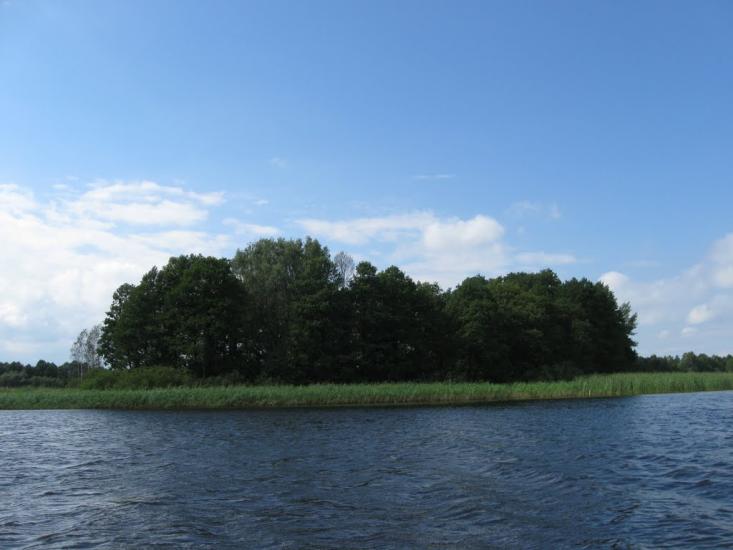 Мельники з panoramio.com - Мельники