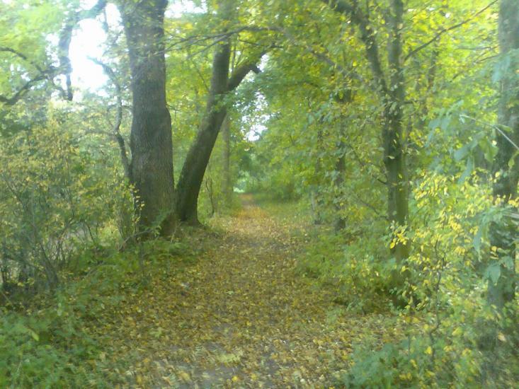 Блищанівка з panoramio.com - Блещановка