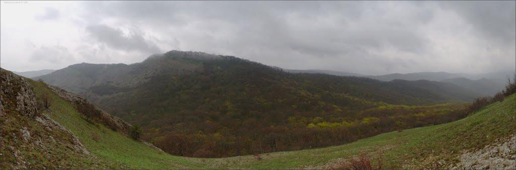 Лісне з panoramio.com - Лісне