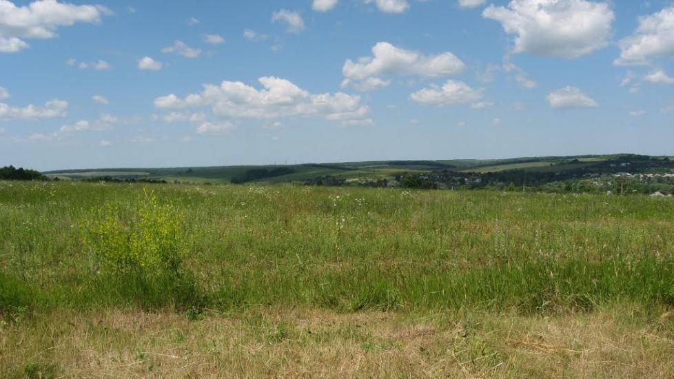 Вільшани з panoramio.com - Ольшаны