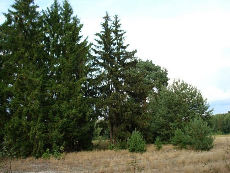 Хрипськ з panoramio.com - Хрипск