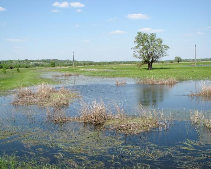 Балаклія з panoramio.com - Балаклея