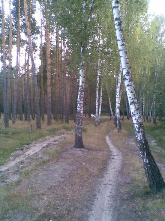 Руська Поляна з panoramio.com - Русская Поляна