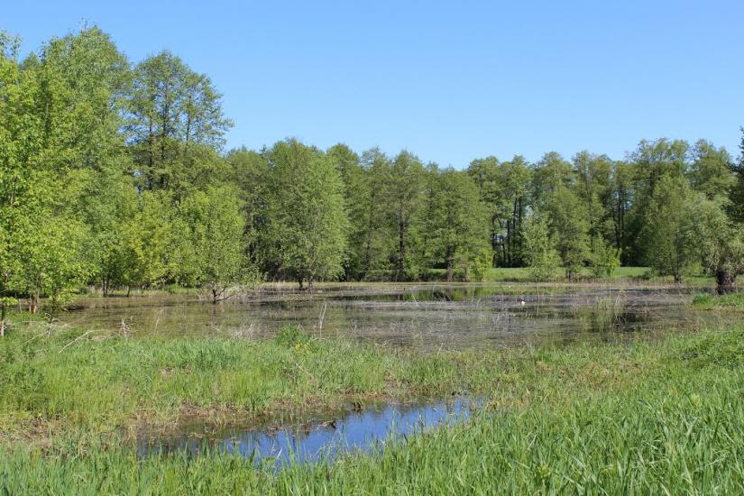 Дешки з panoramio.com - Дешки