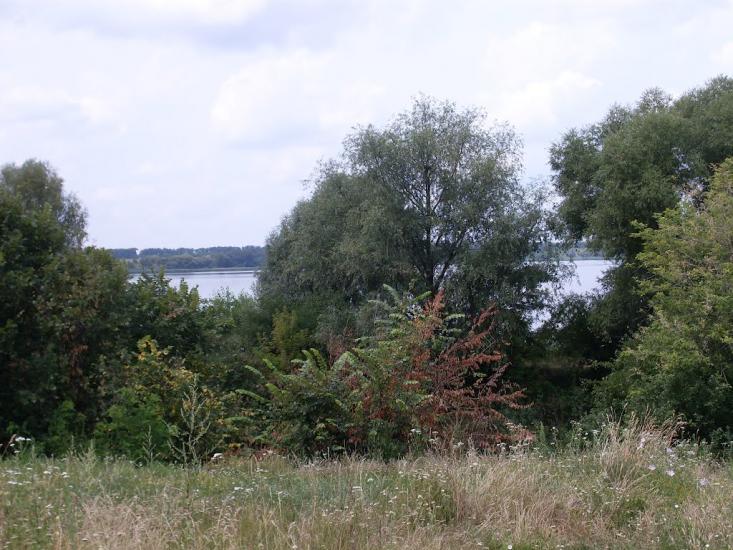 Засупоївка з panoramio.com - Засупоевка