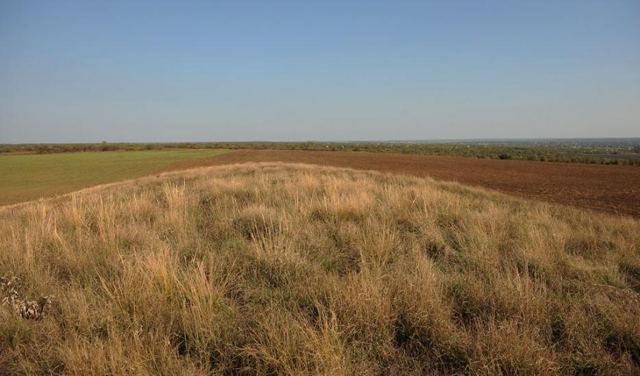 Нововасилівка з panoramio.com - Нововасилевка