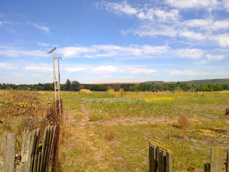 Олександрівка з panoramio.com - Олександрівка