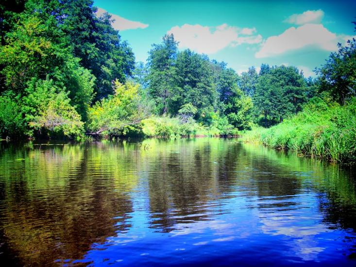 Олевськ з panoramio.com - Олевск