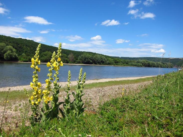 Вістря з panoramio.com - Вістря