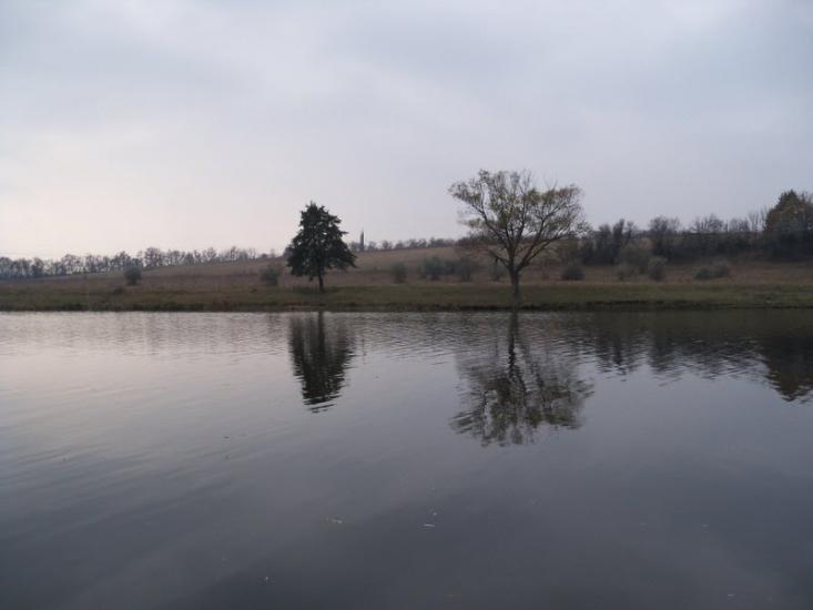 Сорокодуби з panoramio.com - Сорокодубы