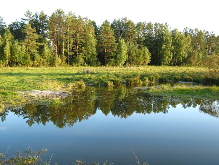 Льгів з panoramio.com - Льгів