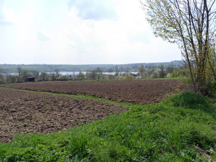 Мартинівка з panoramio.com - Мартыновка