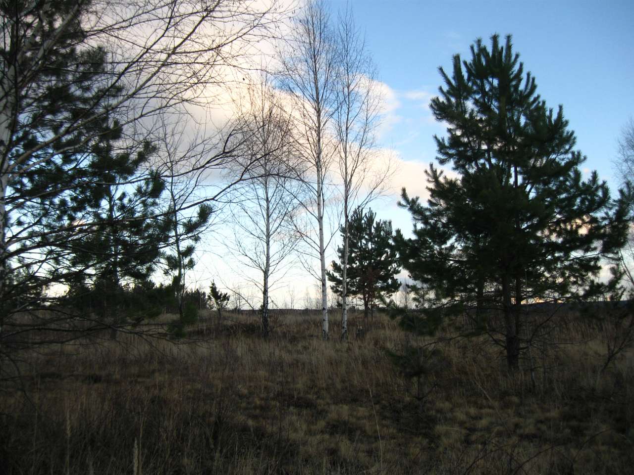 І СВІТАЄ, І СМЕРКАЄ - Небылов