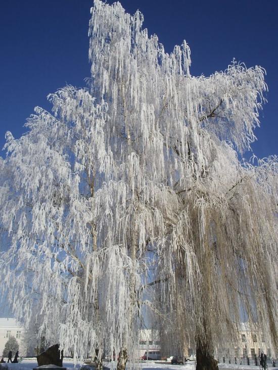 Березне з panoramio.com - Березное