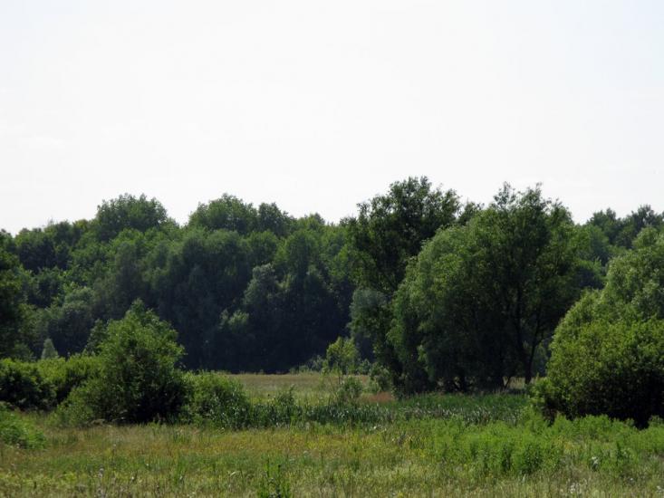 Грабівка з panoramio.com - Грабівка