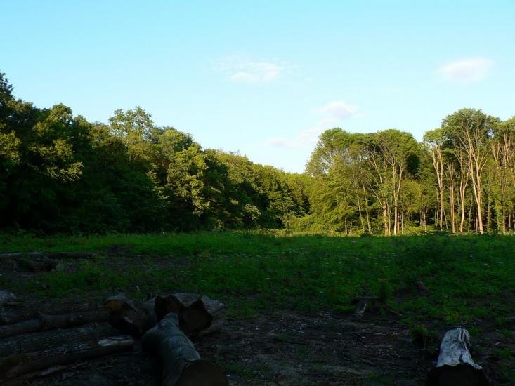 Шкроботівка з panoramio.com - Шкроботівка