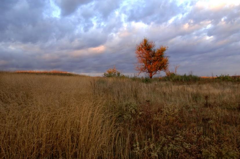 Калайтанівка з panoramio.com - Калайтанівка