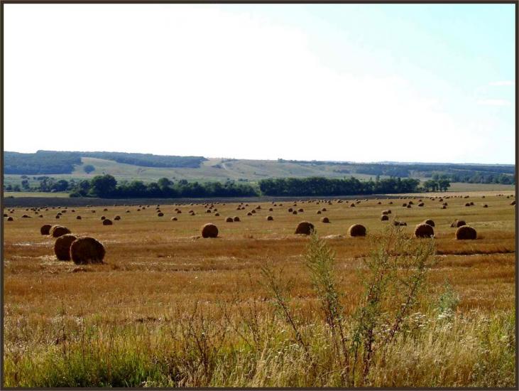 Стрілеча з panoramio.com - Стрілеча