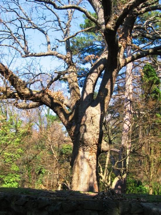 Підгородне з panoramio.com - Pidgorodne