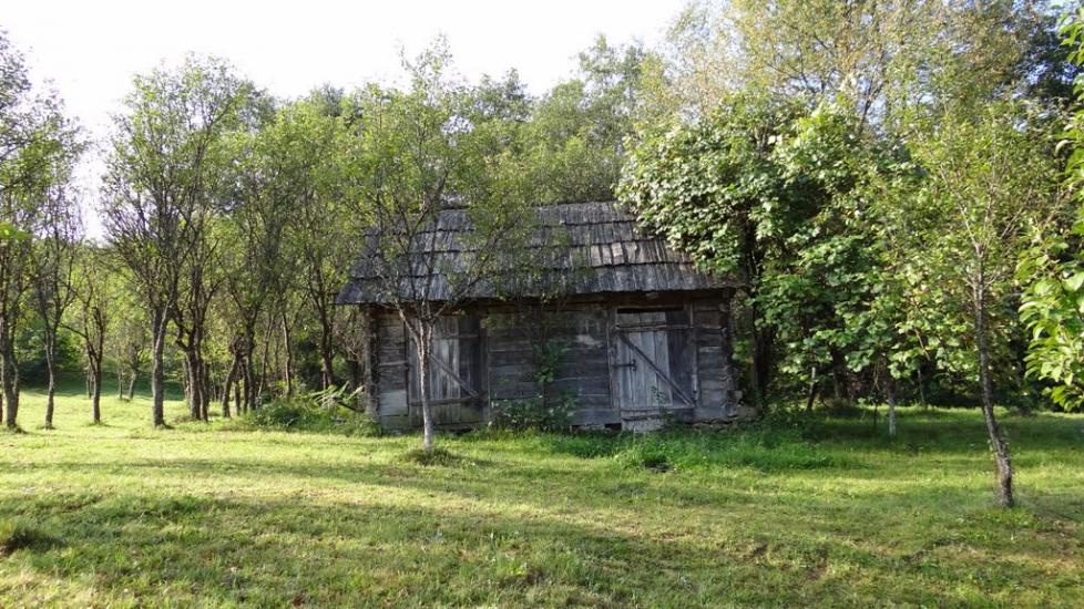 Луг з panoramio.com - Луг