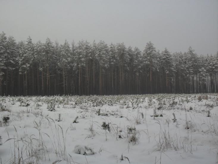 Клавдієво-Тарасове з panoramio.com - Клавдієво-Тарасове