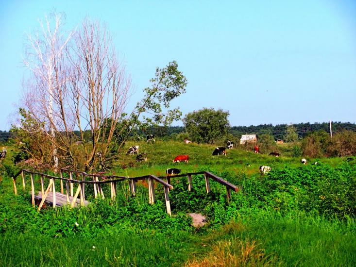 Кустин з panoramio.com - Кустин